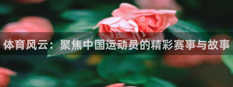 琳琅娱乐官网