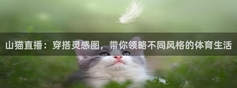 琳琅娱乐代理
