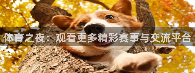 琳琅娱乐代理